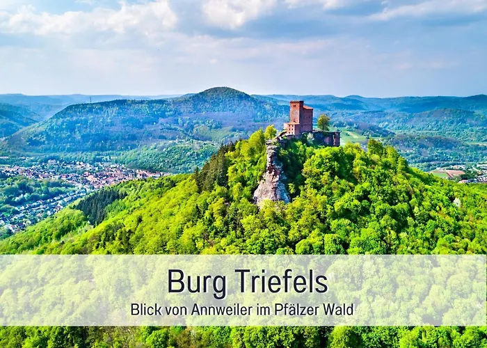 Winetime - Apartment Roschbach - Fuer Bis Zu 5 Personen - Idyllisch An Den Weinbergen Der Suedlichen Weinstrasse Zwischen Landau Und Neustadt Gelegen
