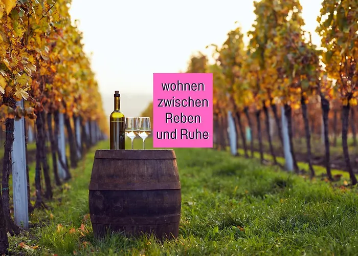 Winetime - Apartment Roschbach - Fuer Bis Zu 5 Personen - Idyllisch An Den Weinbergen Der Suedlichen Weinstrasse Zwischen Landau Und Neustadt Gelegen