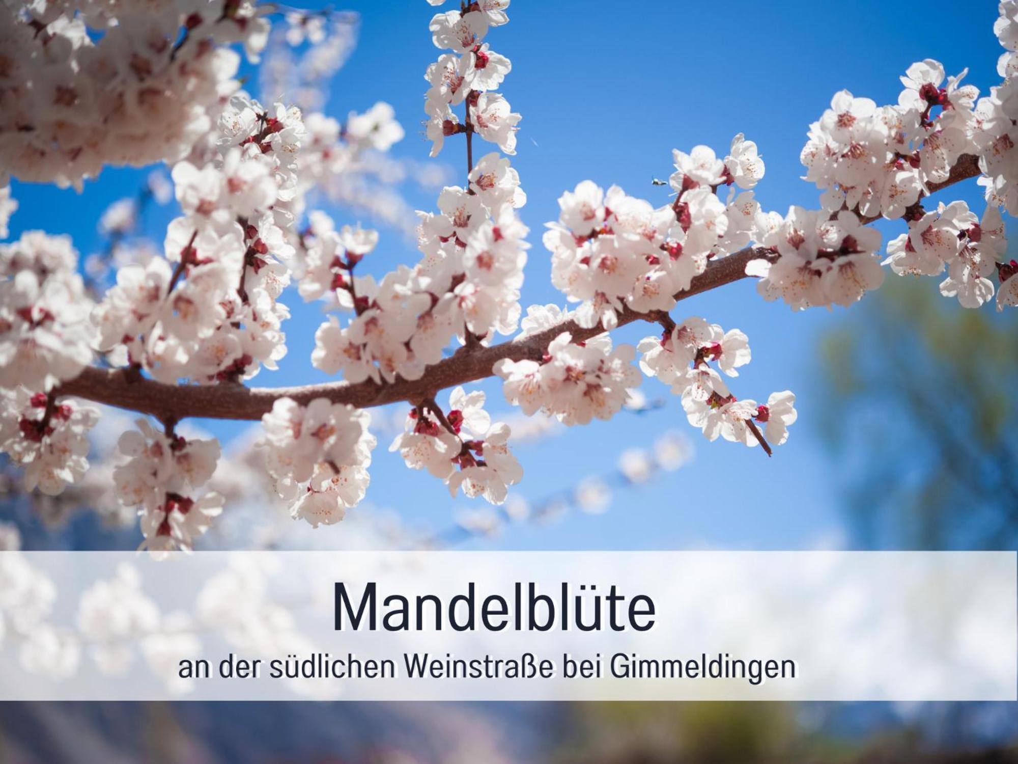 Apartamento Winetime - - Fuer Bis Zu 5 Personen - Idyllisch An Den Weinbergen Der Suedlichen Weinstrasse Zwischen Landau Und Neustadt Gelegen *