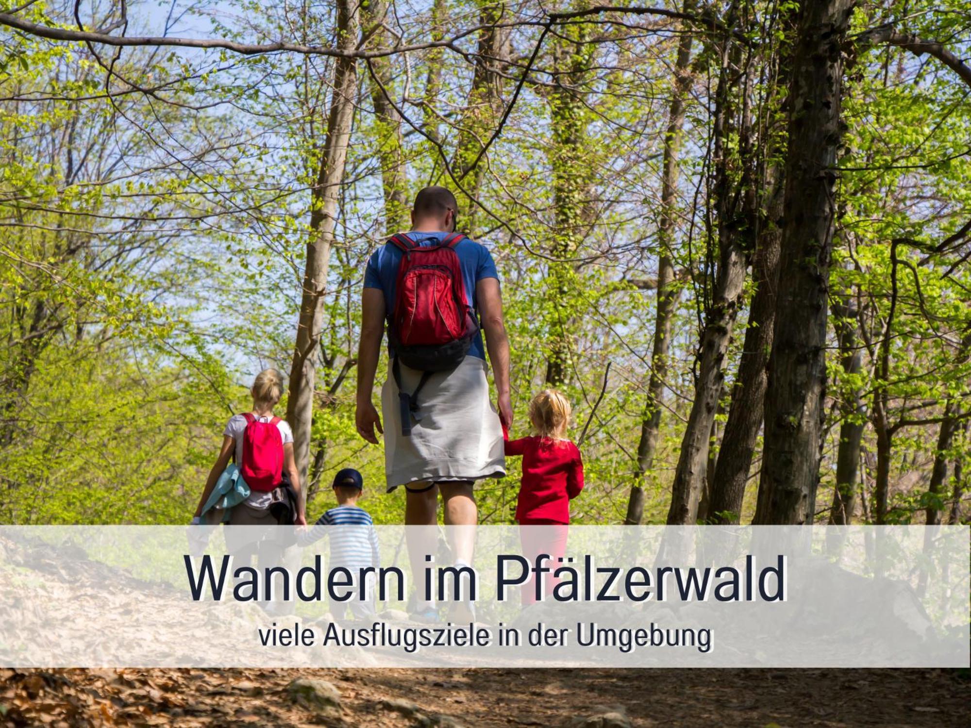 Apartment Winetime - - Fuer Bis Zu 5 Personen - Idyllisch An Den Weinbergen Der Suedlichen Weinstrasse Zwischen Landau Und Neustadt Gelegen *