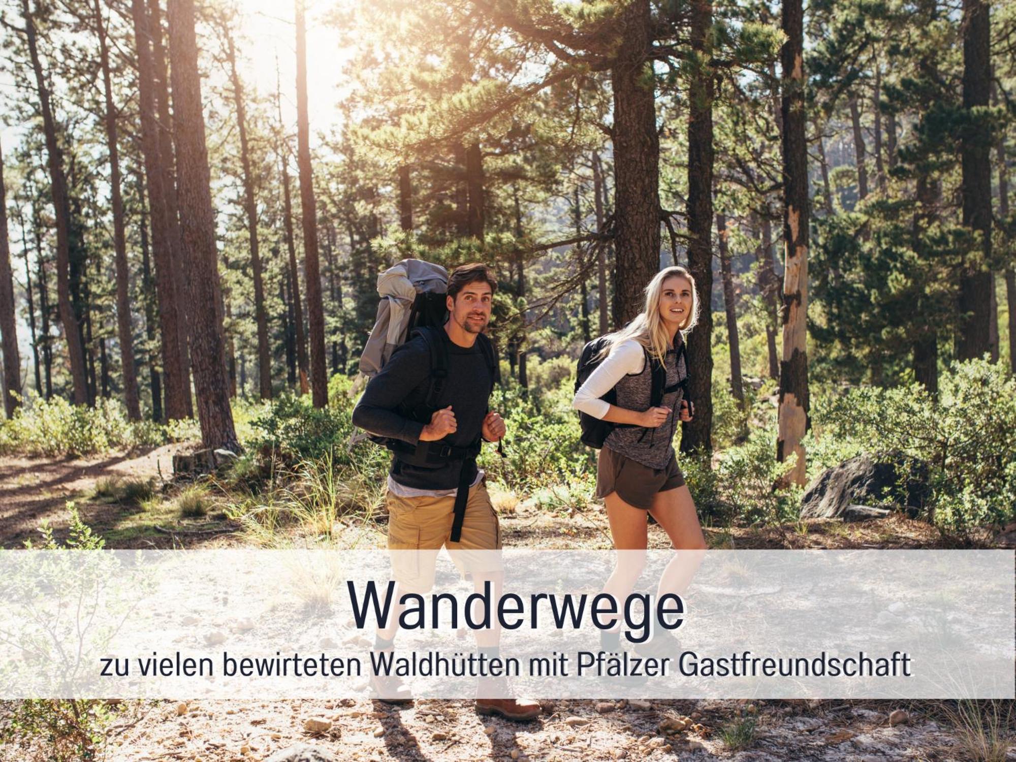 Apartamento Winetime - - Fuer Bis Zu 5 Personen - Idyllisch An Den Weinbergen Der Suedlichen Weinstrasse Zwischen Landau Und Neustadt Gelegen Roschbach