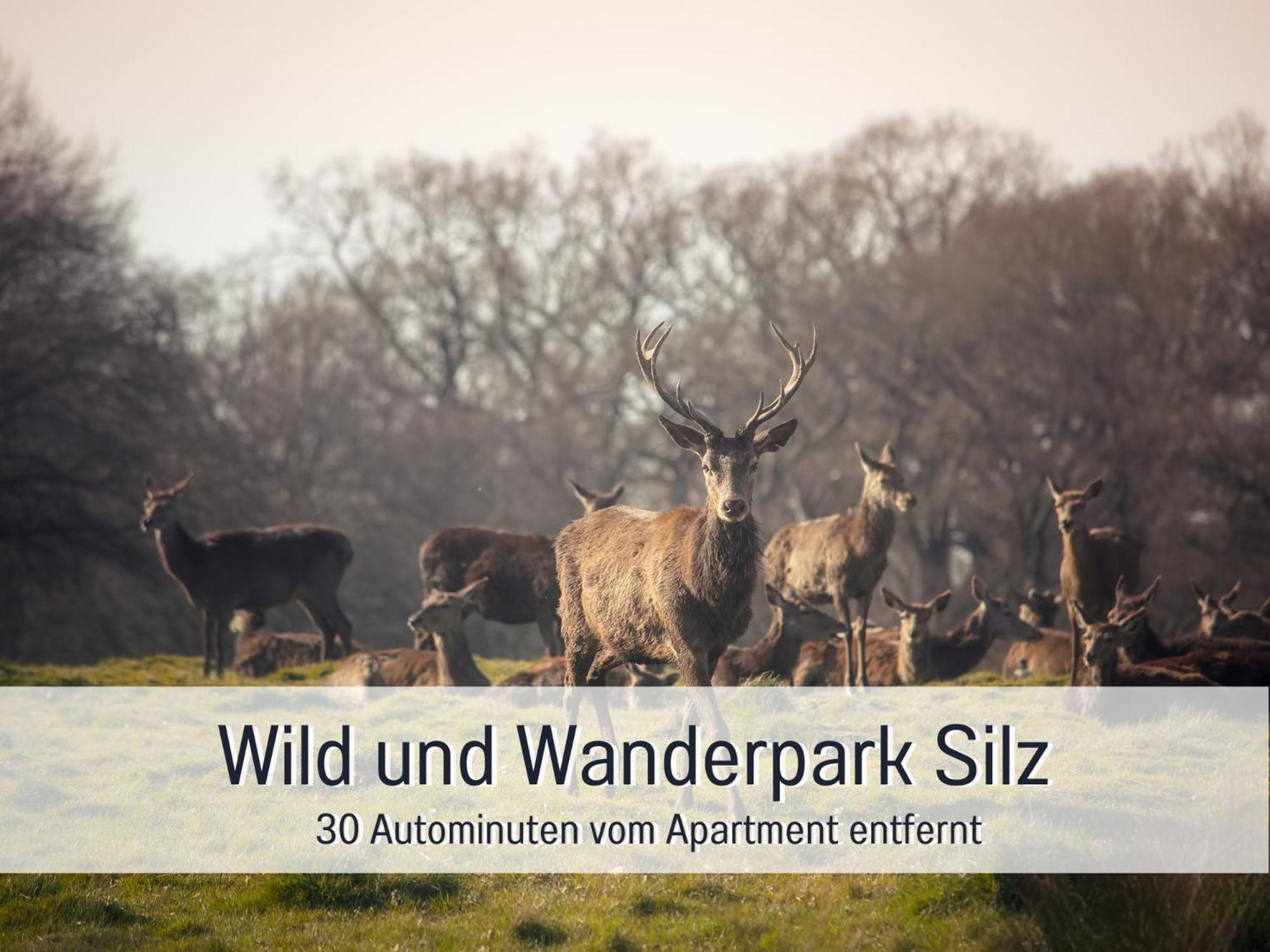 Apartment Winetime - - Fuer Bis Zu 5 Personen - Idyllisch An Den Weinbergen Der Suedlichen Weinstrasse Zwischen Landau Und Neustadt Gelegen Roschbach