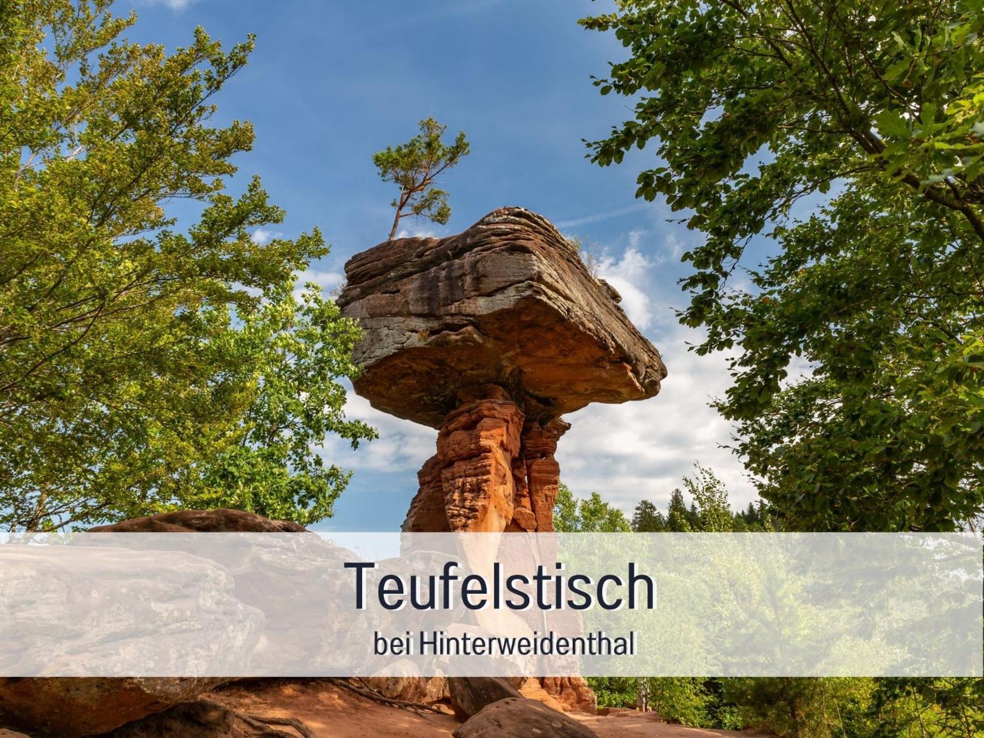 Winetime - - Fuer Bis Zu 5 Personen - Idyllisch An Den Weinbergen Der Suedlichen Weinstrasse Zwischen Landau Und Neustadt Gelegen Apartamento Roschbach