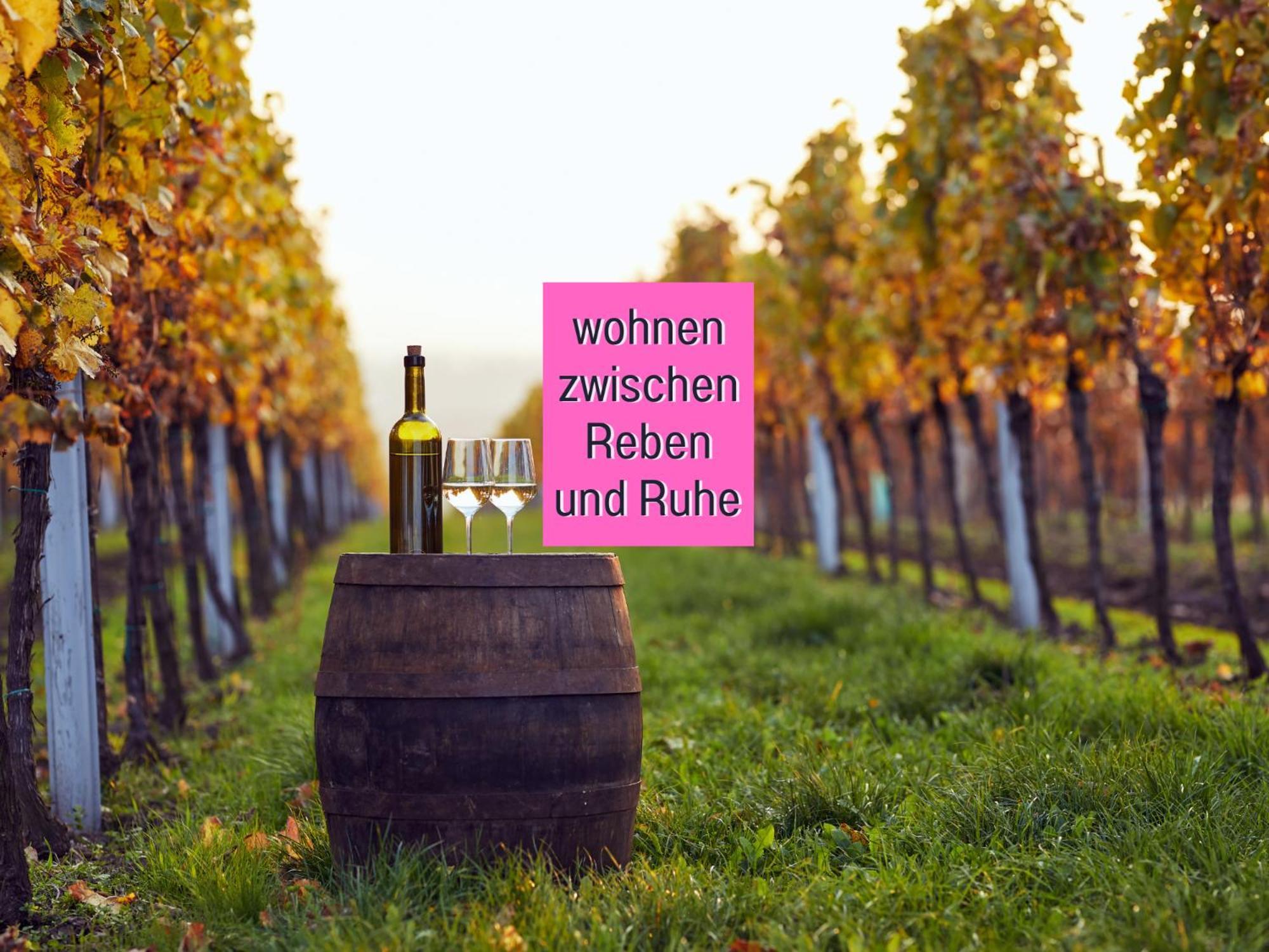 Winetime - - Fuer Bis Zu 5 Personen - Idyllisch An Den Weinbergen Der Suedlichen Weinstrasse Zwischen Landau Und Neustadt Gelegen Roschbach